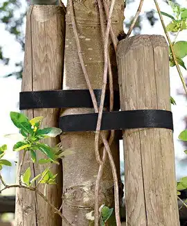Tye Aid klittenband ( Velcro )