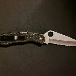 spyderco pacific salt 2